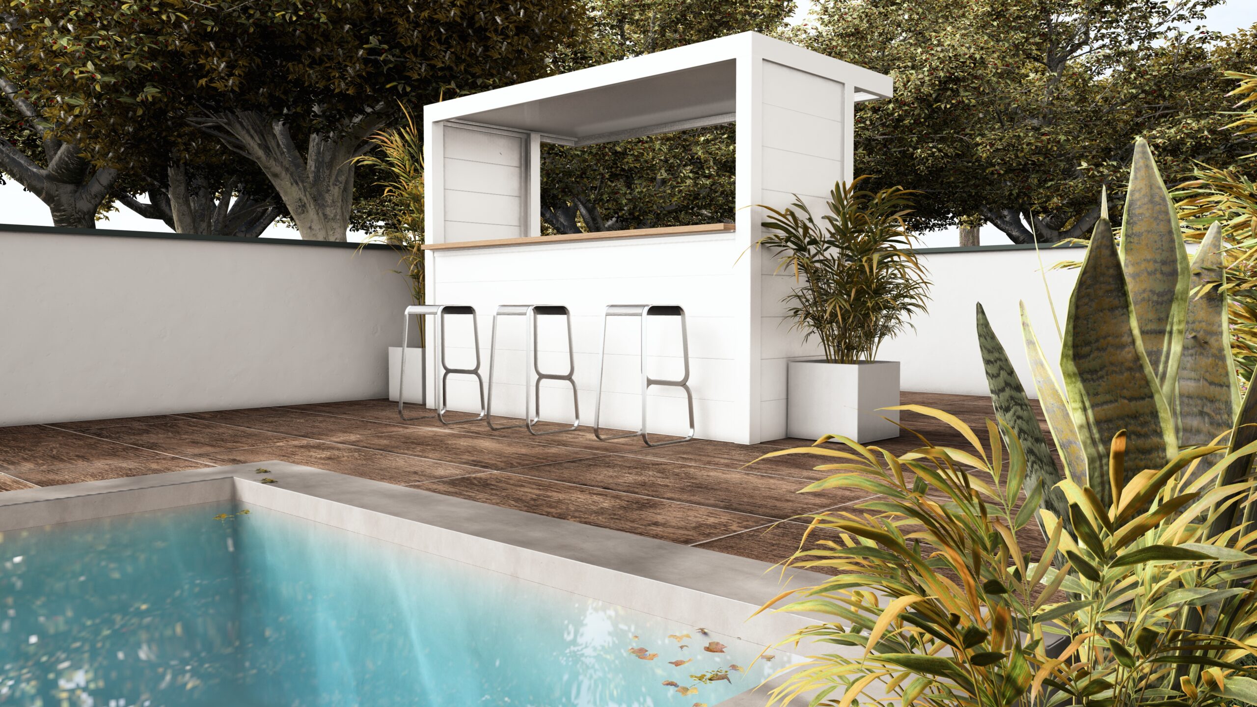 Box Tendance